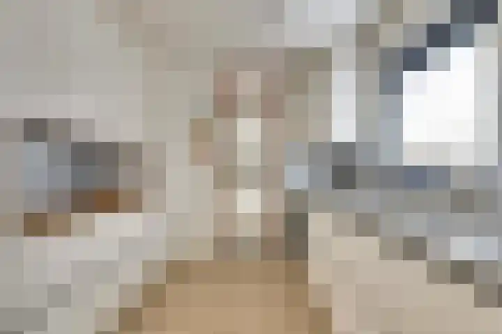 Lansenpad 9 Vlissingen thumbnail 15