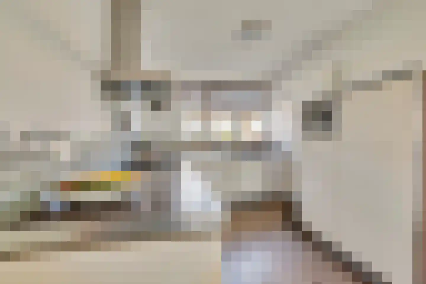 Lanshof 16 Huissen thumbnail 11