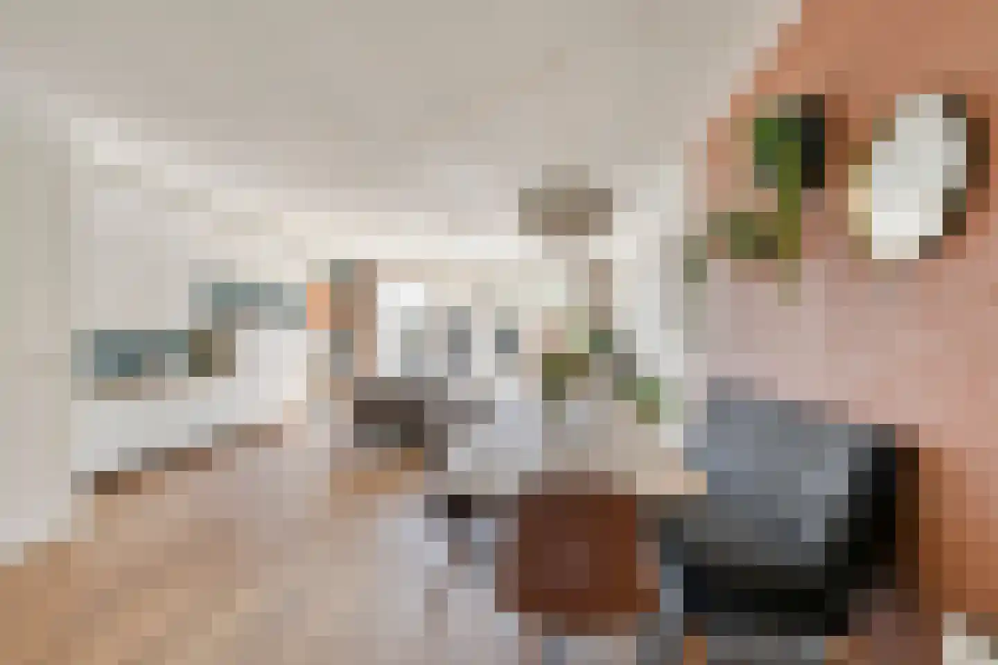 Lanshof 16 Huissen thumbnail 13