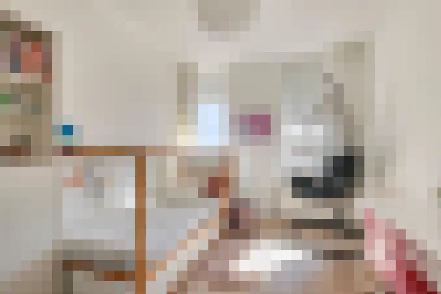 Lanshof 16 Huissen thumbnail 20