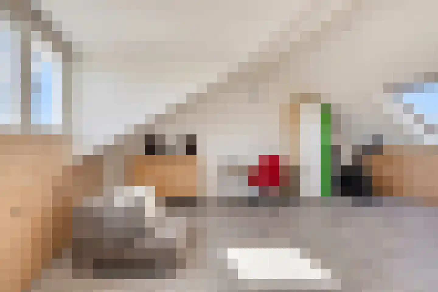 Lanshof 16 Huissen thumbnail 25
