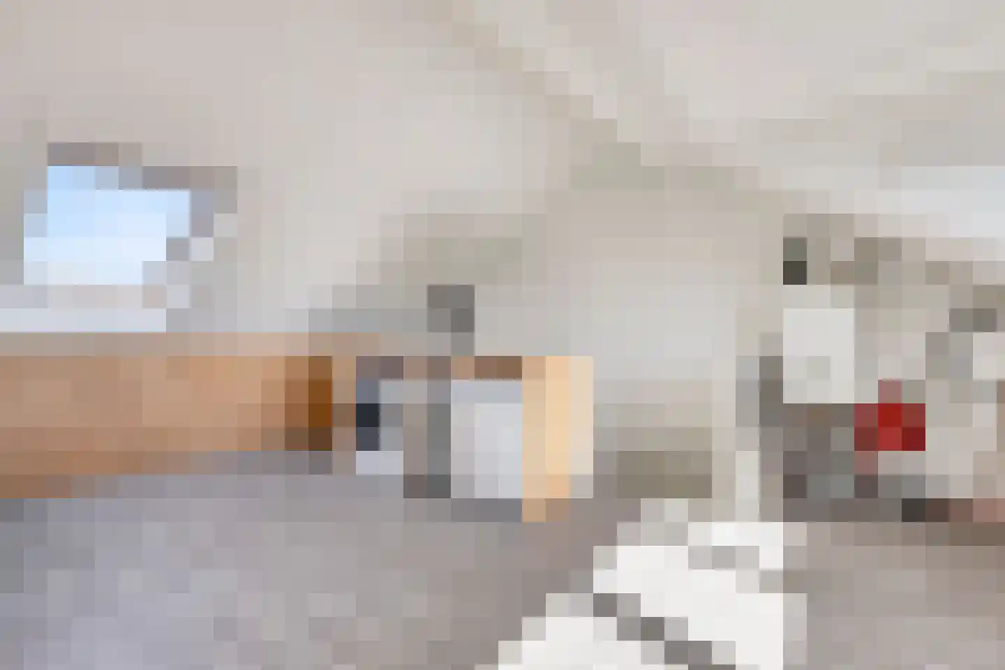 Lanshof 16 Huissen thumbnail 27