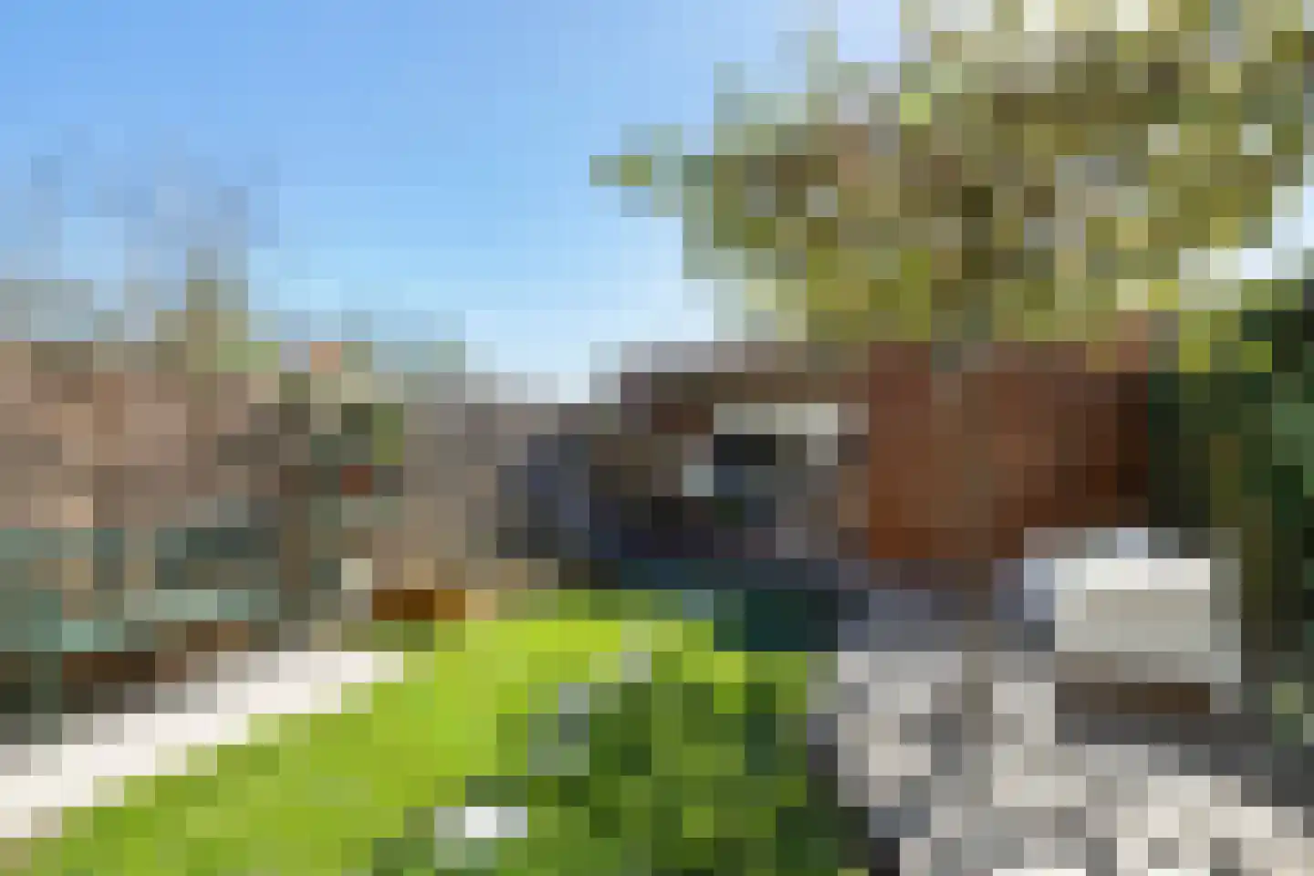 Lanshof 16 Huissen thumbnail 29
