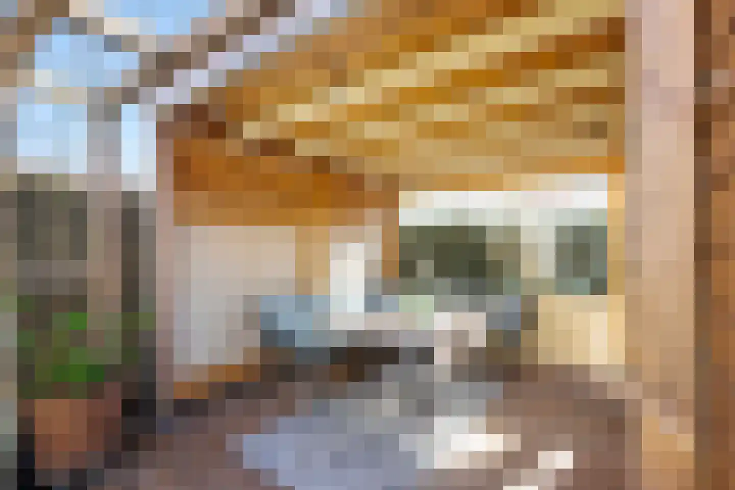 Lanshof 16 Huissen thumbnail 31
