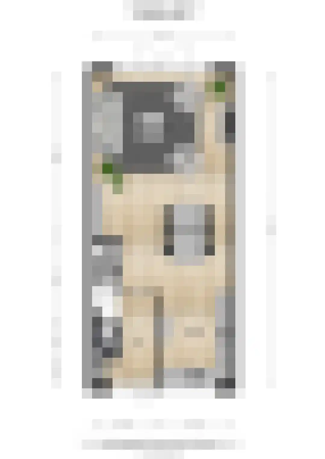 Lanshof 16 Huissen thumbnail 36