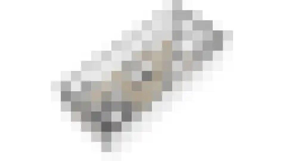 Lanshof 16 Huissen thumbnail 37