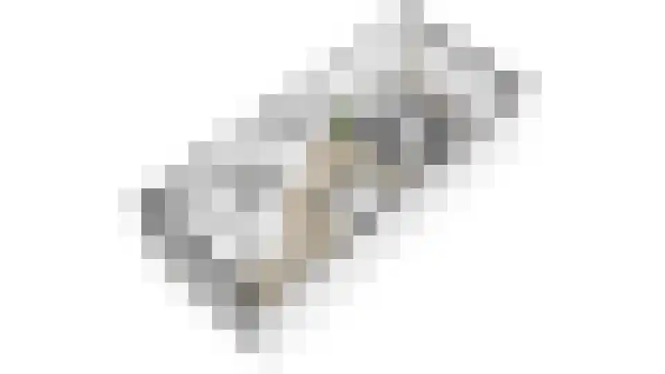 Lanshof 16 Huissen thumbnail 38