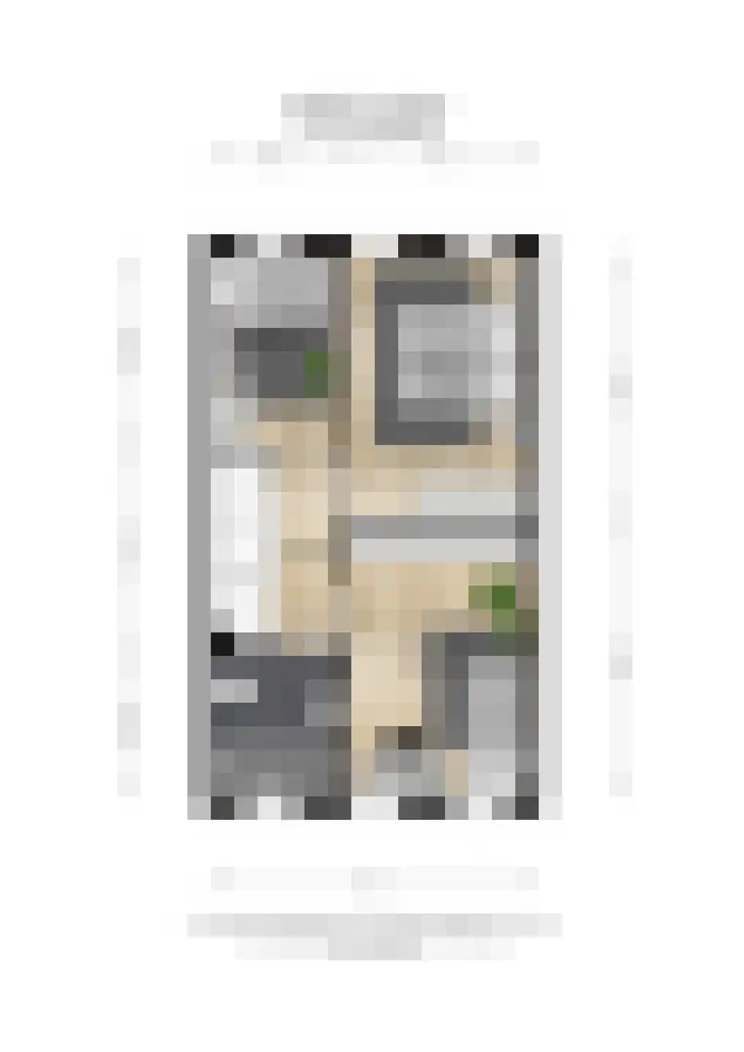 Lanshof 16 Huissen thumbnail 39