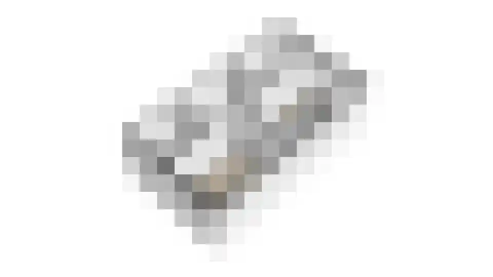 Lanshof 16 Huissen thumbnail 41