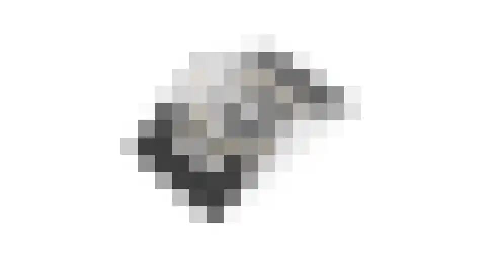 Lanshof 16 Huissen thumbnail 43
