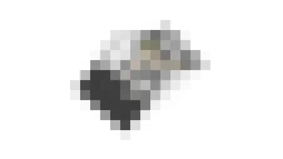 Lanshof 16 Huissen thumbnail 44