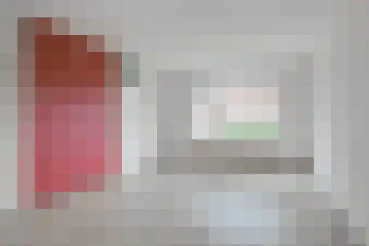 Lansier 11 Leerdam thumbnail 10