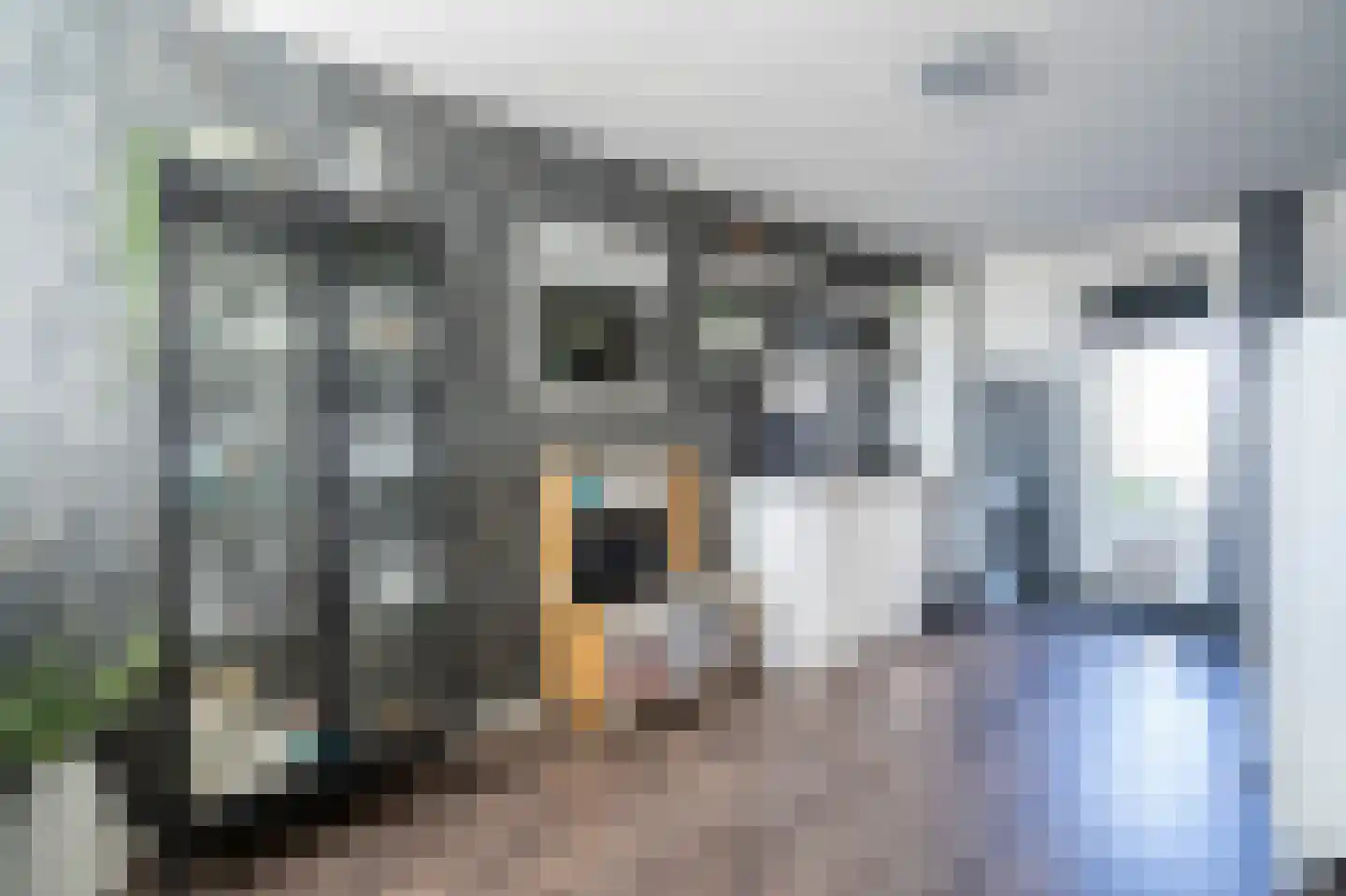 Lansier 11 Leerdam thumbnail 13