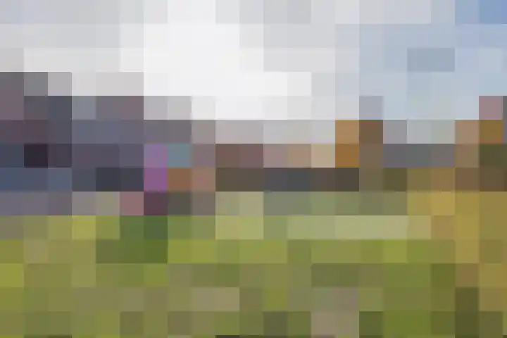 Lansier 11 Leerdam thumbnail 26