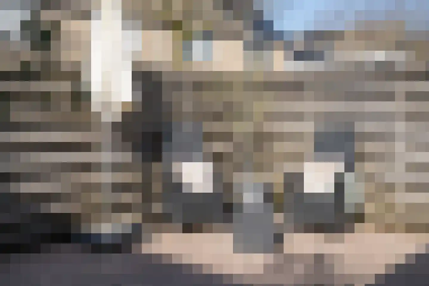 Lansier 11 Leerdam thumbnail 34