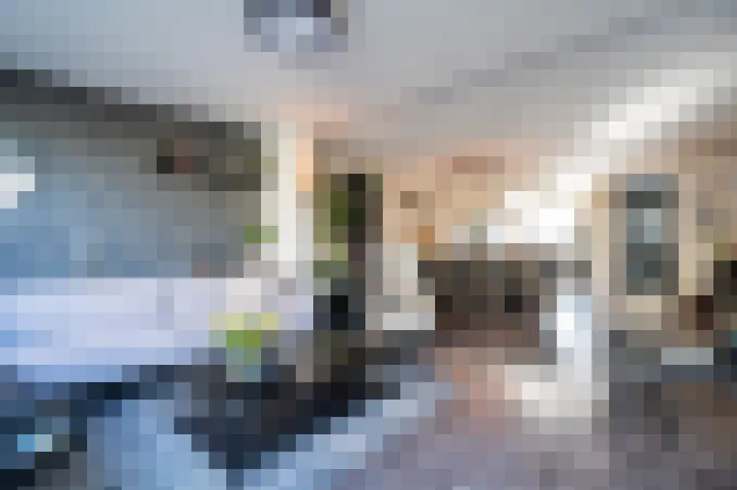 Lansier 11 Leerdam thumbnail 4