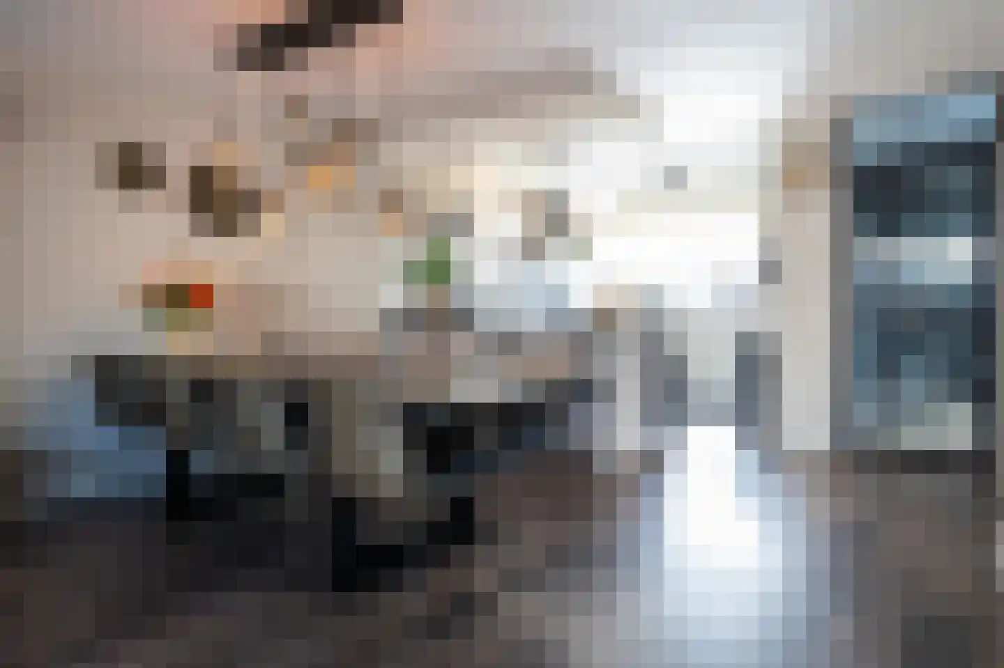 Lansier 11 Leerdam thumbnail 6