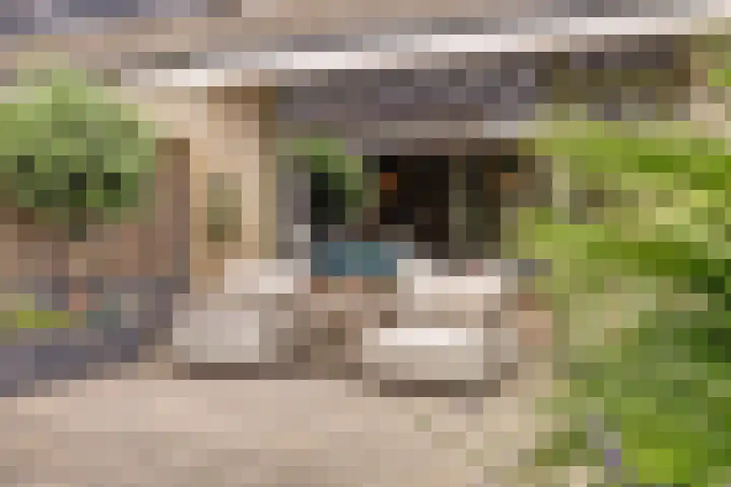 Lansier 7 Leerdam thumbnail 5