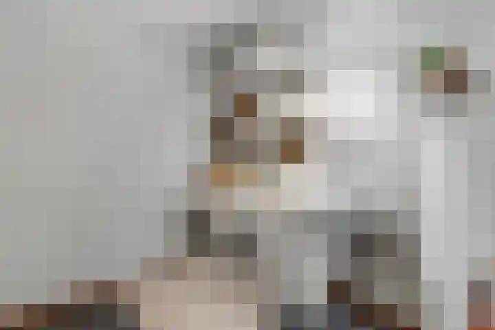 Lansiersweg 25 Veenendaal thumbnail 12