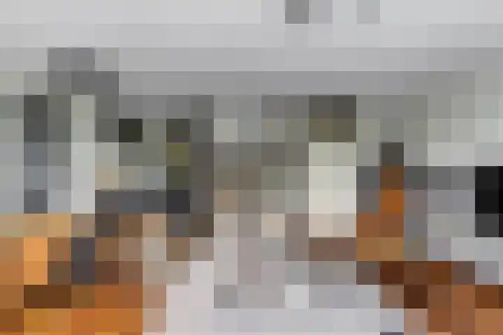 Lansiersweg 25 Veenendaal thumbnail 16