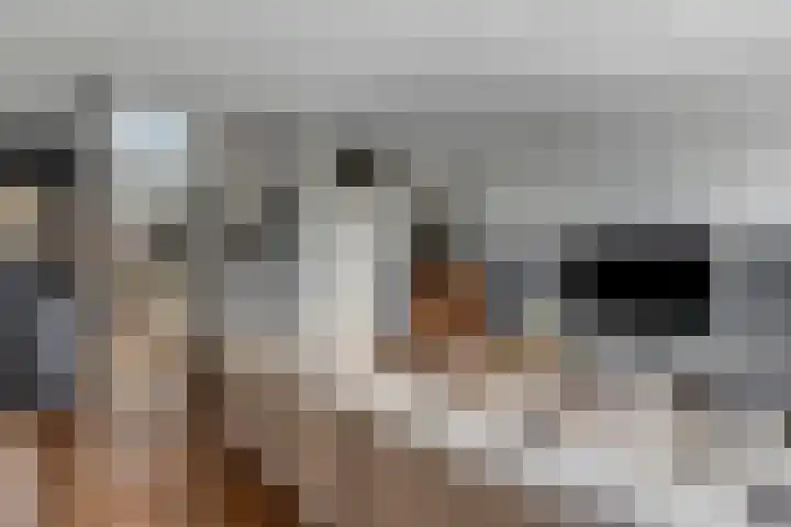 Lansiersweg 25 Veenendaal thumbnail 17