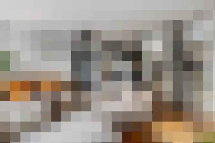 Lansiersweg 25 Veenendaal thumbnail 18