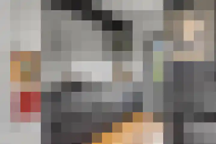 Lansiersweg 25 Veenendaal thumbnail 21