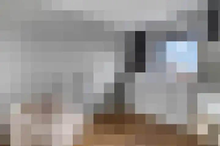 Lansiersweg 25 Veenendaal thumbnail 33