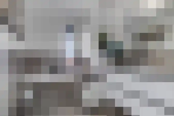 Lansiersweg 25 Veenendaal thumbnail 35