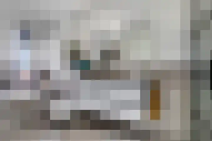 Lansiersweg 25 Veenendaal thumbnail 4