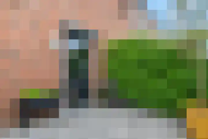 Lansiersweg 25 Veenendaal thumbnail 40