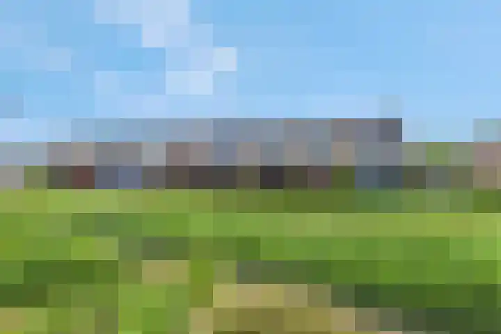 Lansiersweg 25 Veenendaal thumbnail 56