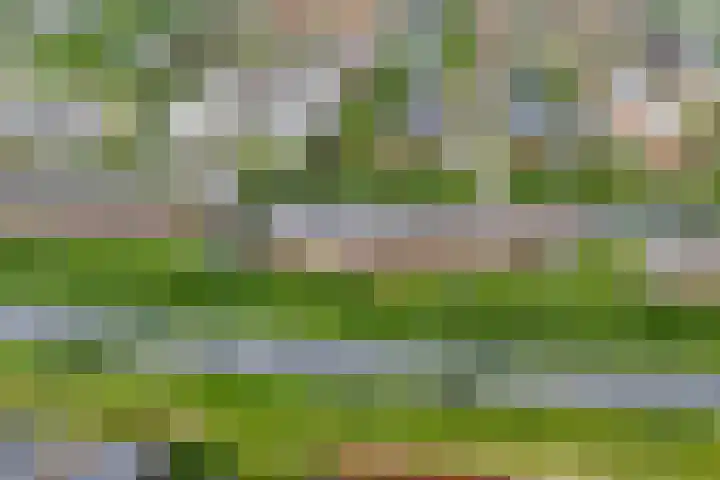 Lansiersweg 25 Veenendaal thumbnail 58
