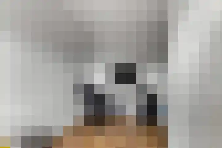 Lansiersweg 25 Veenendaal thumbnail 9