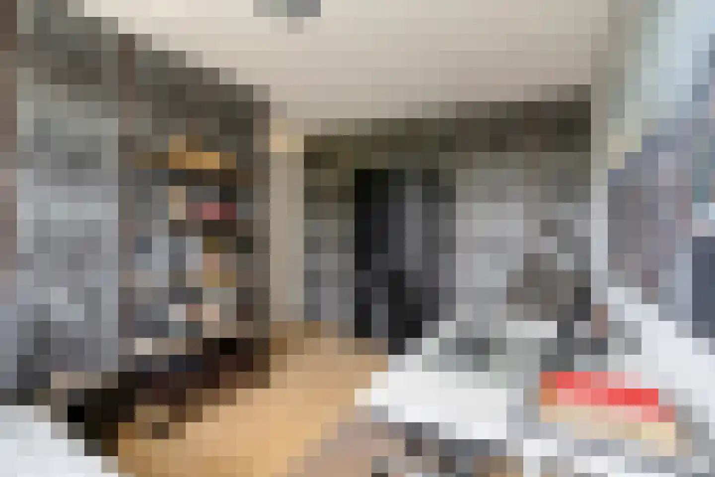 Lansiersweg 8 Veenendaal thumbnail 13