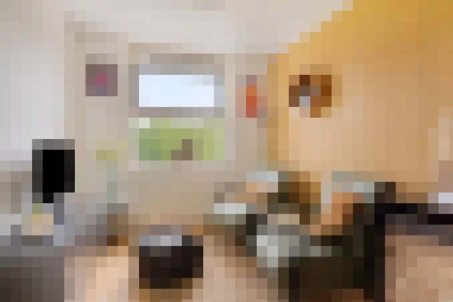 Lansiersweg 8 Veenendaal thumbnail 14