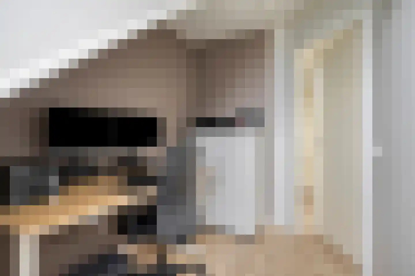 Lansiersweg 8 Veenendaal thumbnail 24