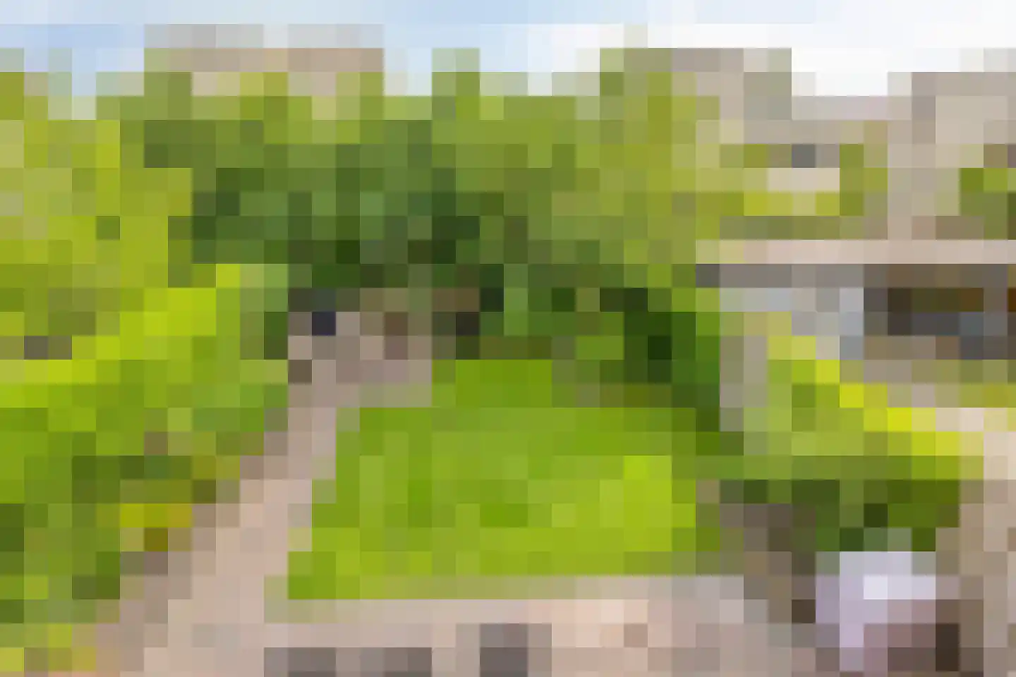 Lansiersweg 8 Veenendaal thumbnail 25