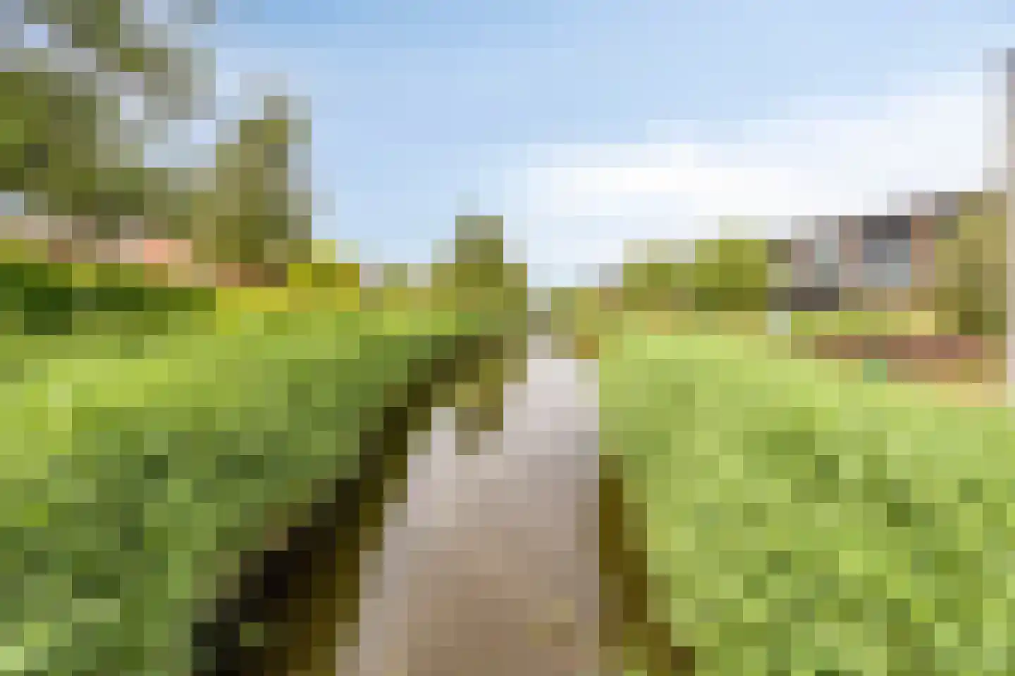 Lansiersweg 8 Veenendaal thumbnail 31