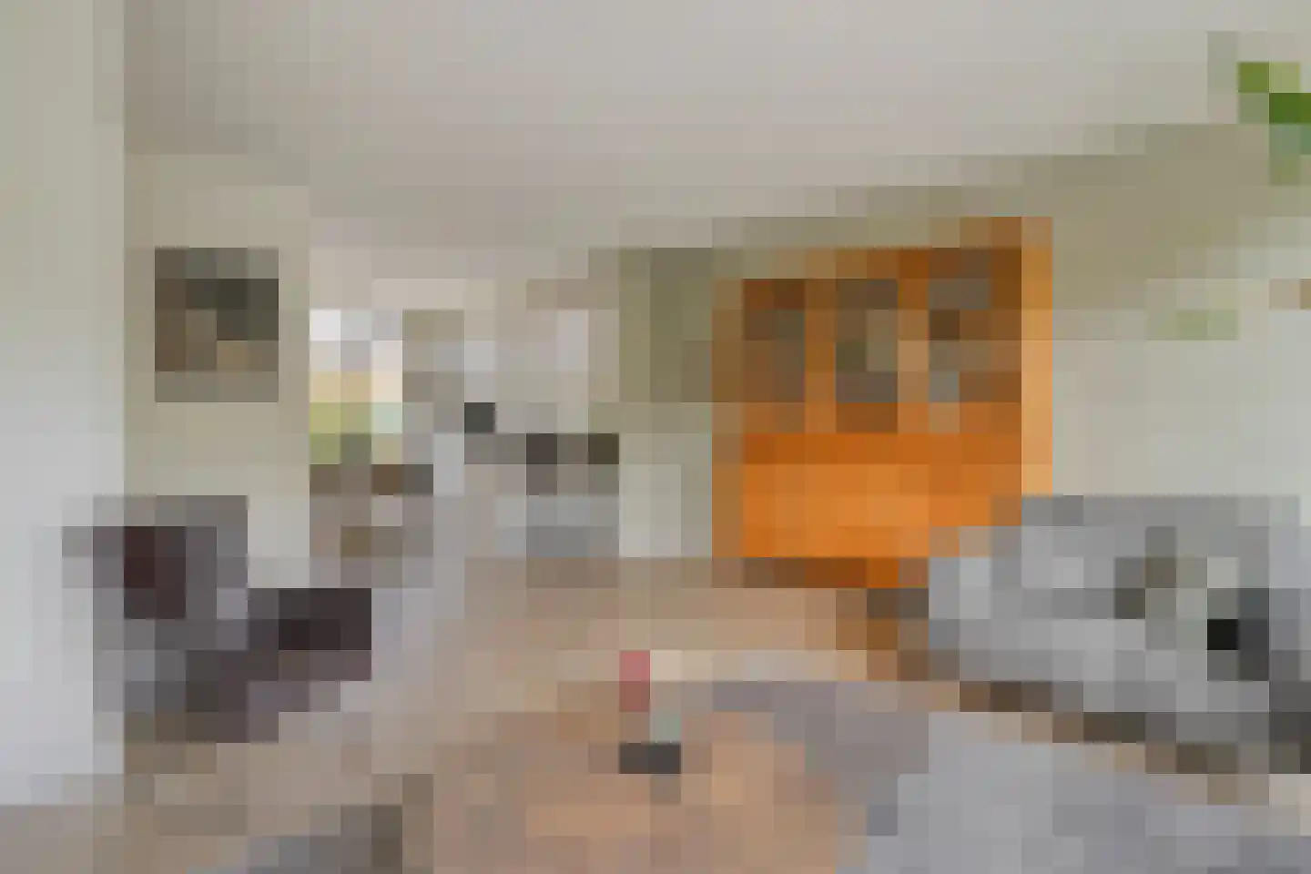 Lansiersweg 8 Veenendaal thumbnail 6