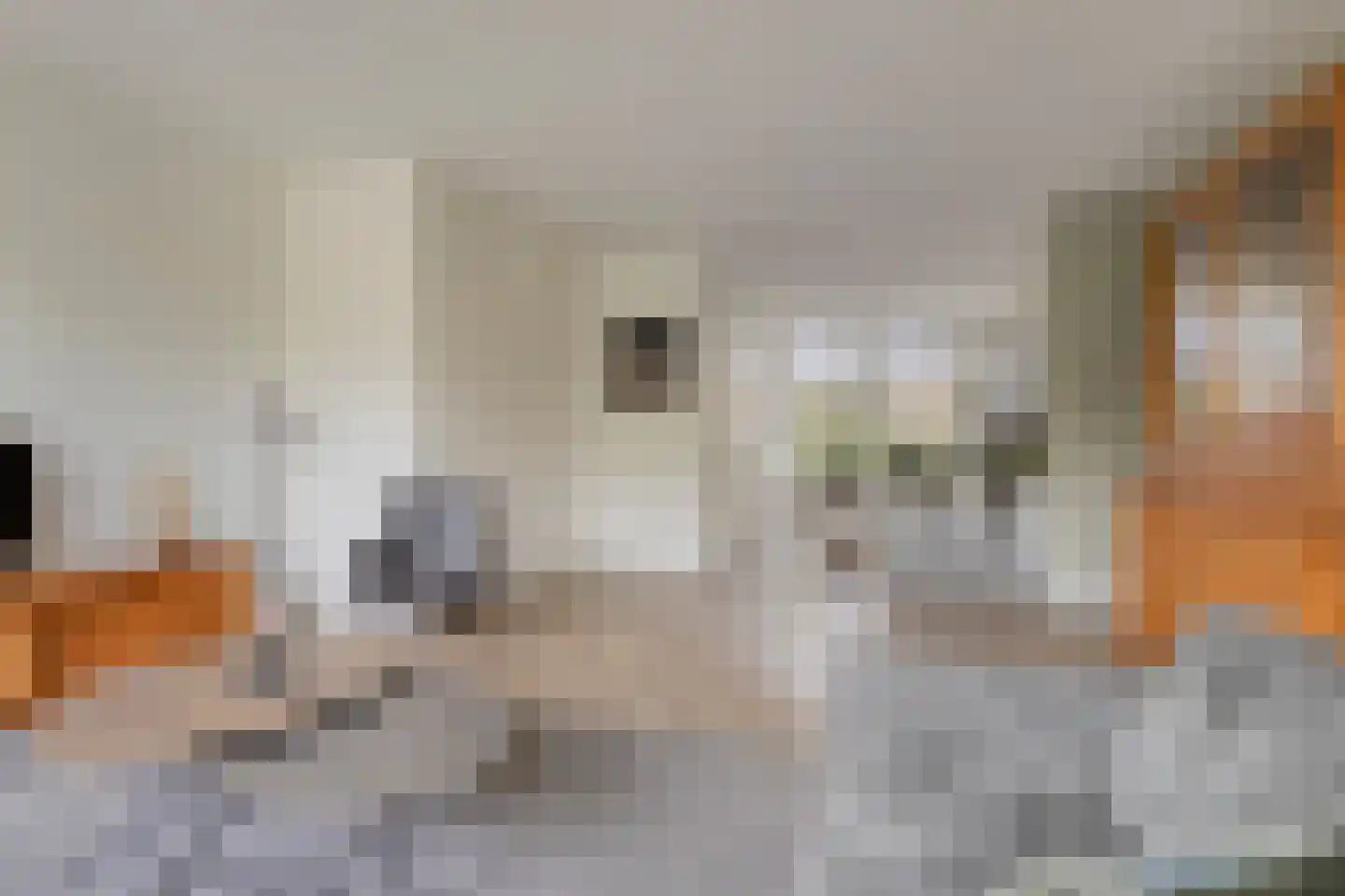 Lansiersweg 8 Veenendaal thumbnail 7