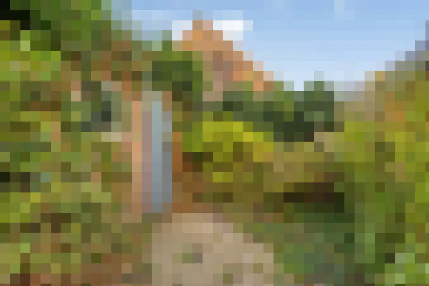 Lansing 25 Krimpen aan den IJssel thumbnail 30