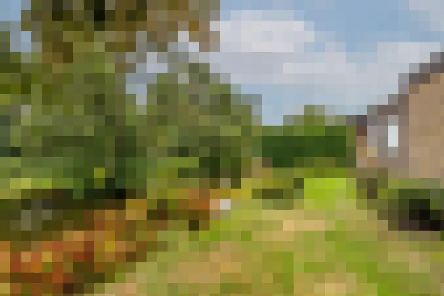 Lansing 36 Krimpen aan den IJssel thumbnail 34