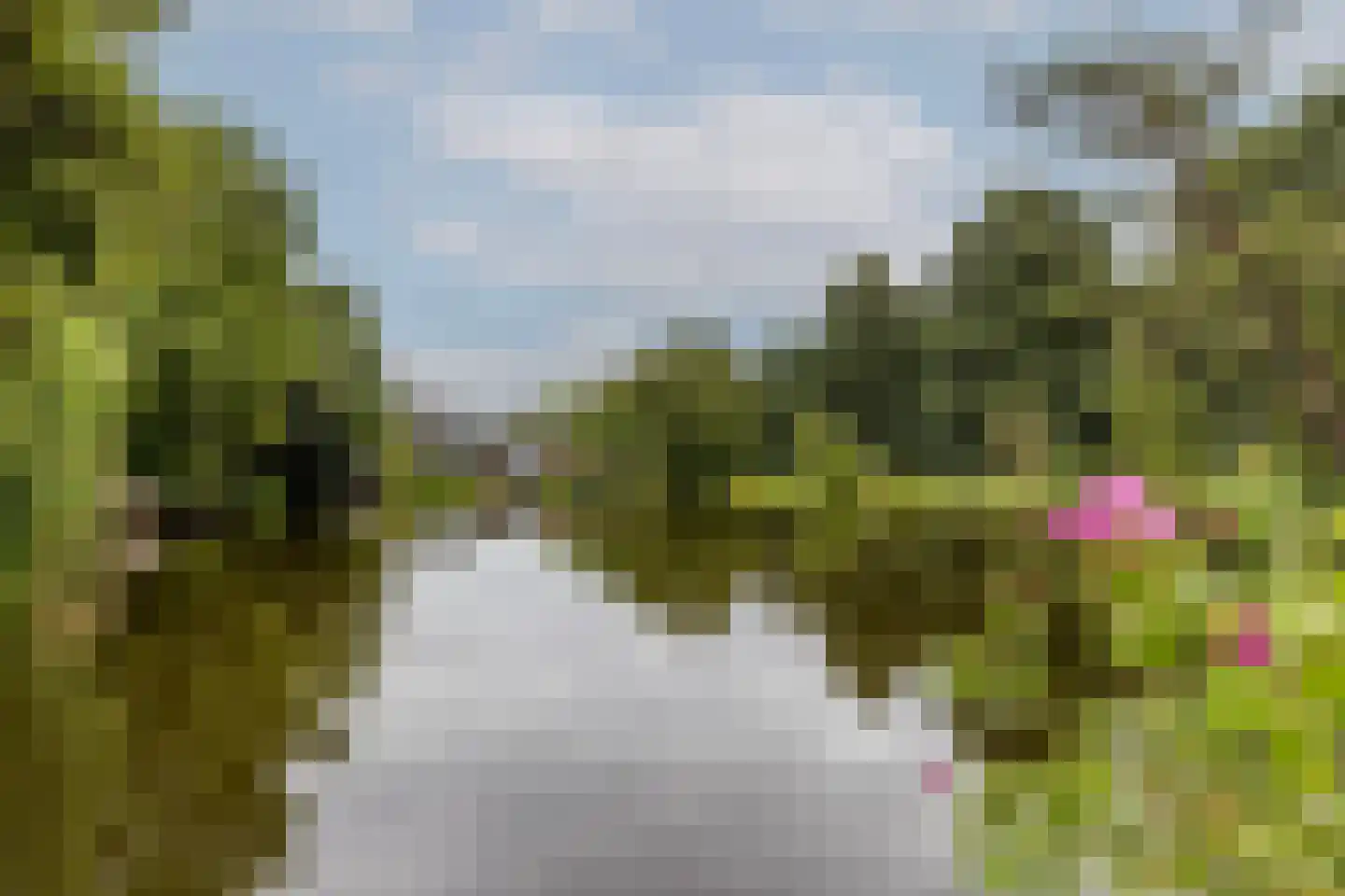 Lansing 36 Krimpen aan den IJssel thumbnail 35