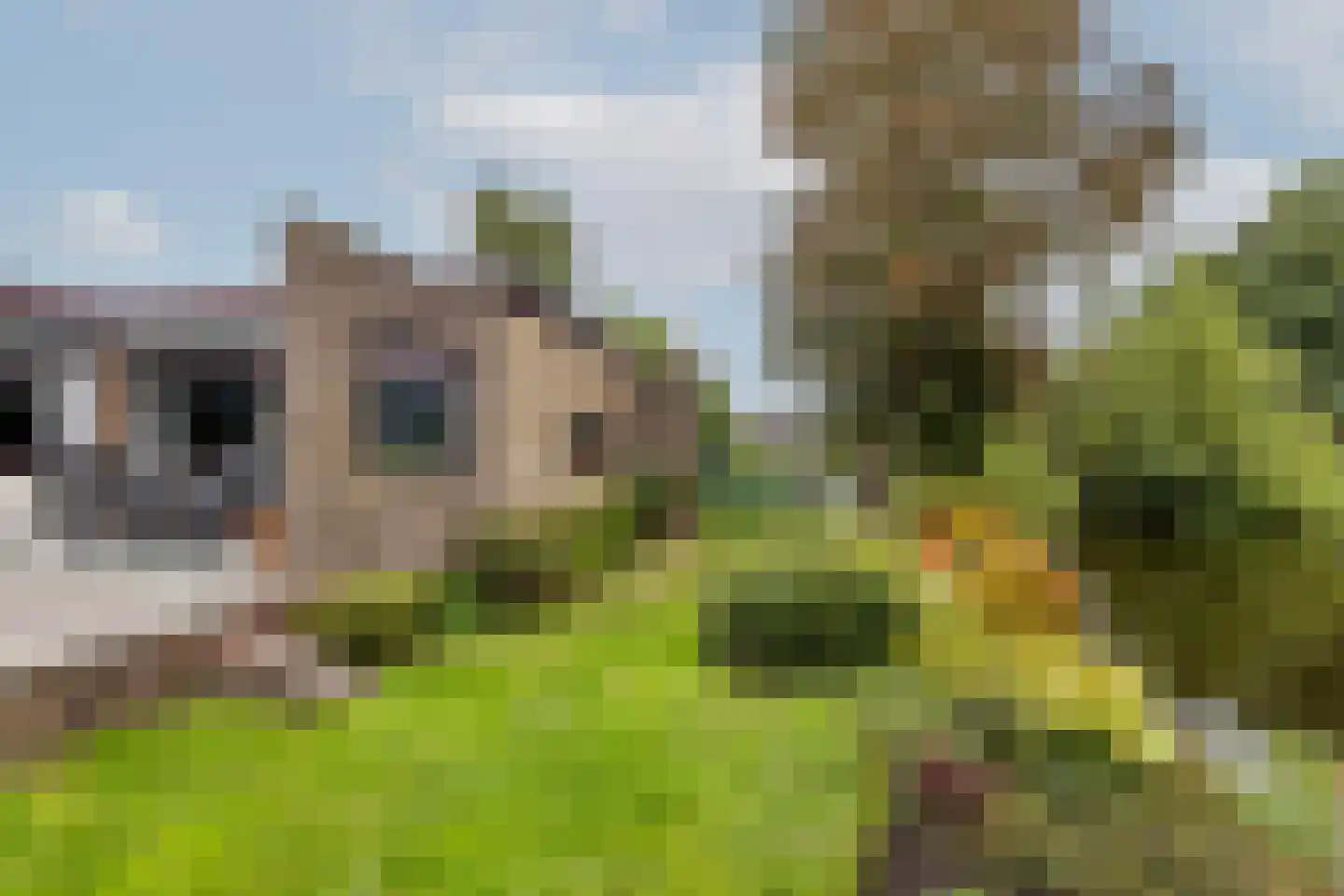 Lansing 36 Krimpen aan den IJssel thumbnail 4