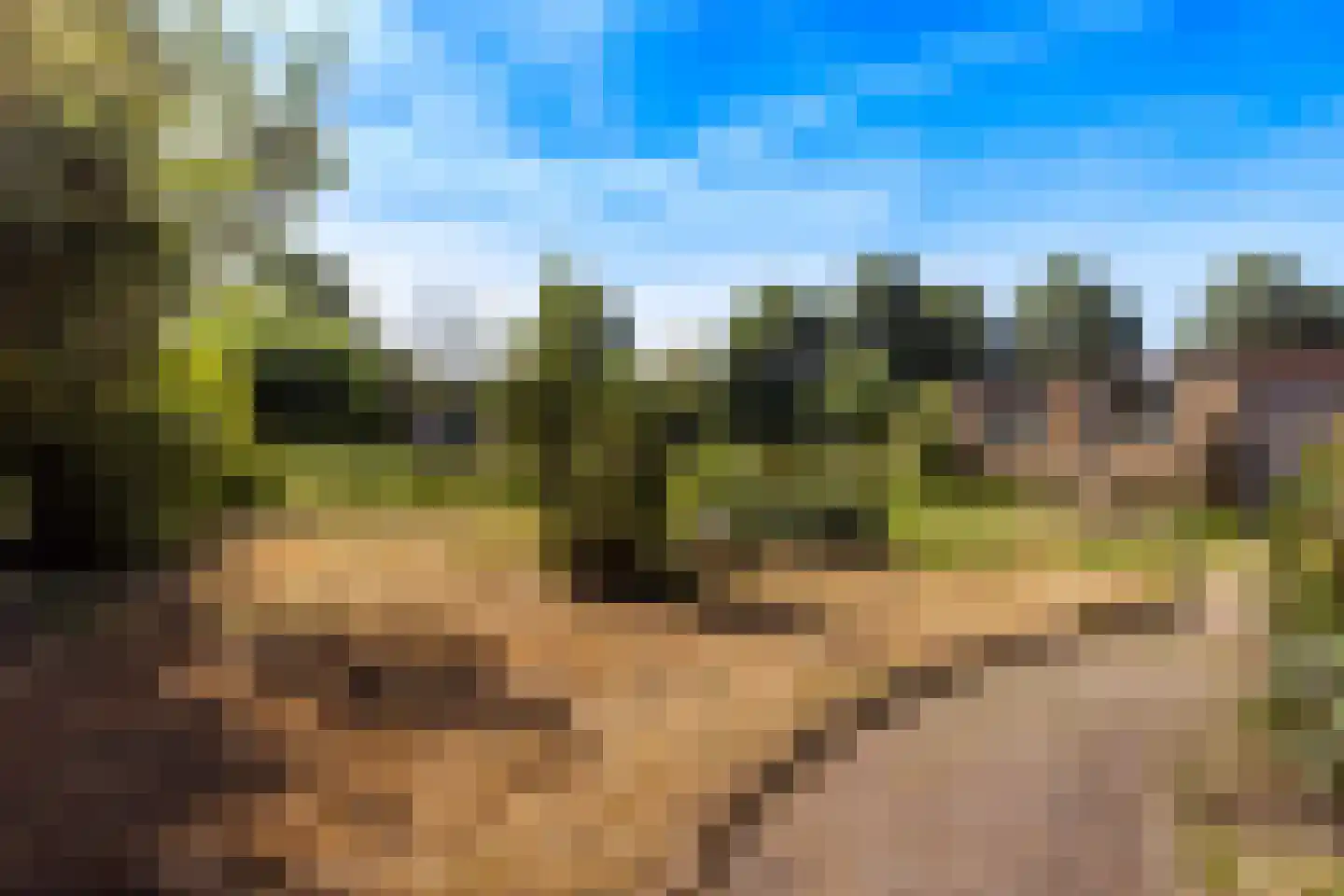 Lansing 6 Krimpen aan den IJssel thumbnail 10