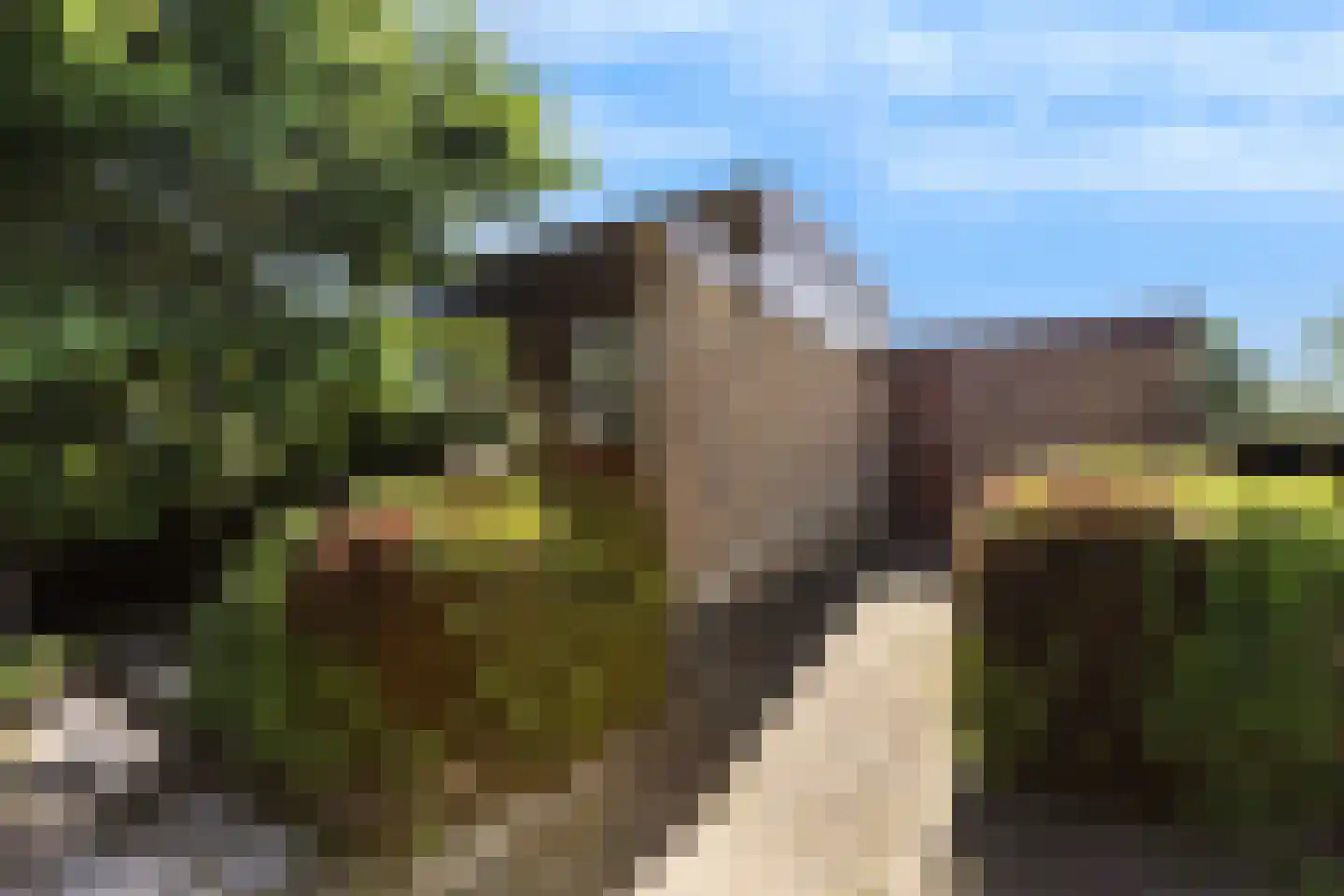 Lansing 6 Krimpen aan den IJssel thumbnail 32