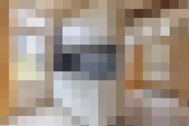 Lansinkesweg 22 Hengelo thumbnail 10