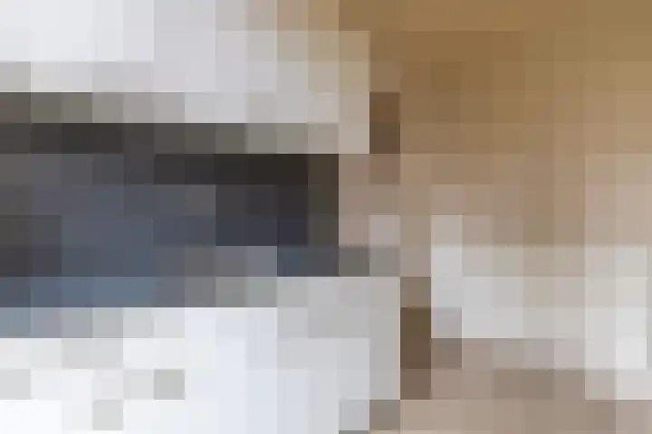 Lansinkesweg 22 Hengelo thumbnail 11