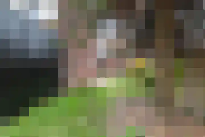 Lansinkesweg 22 Hengelo thumbnail 18